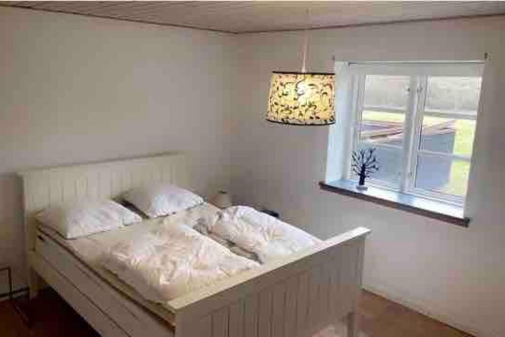 Dejligt Stort Hus Med Spa Ålbæk 외부 사진